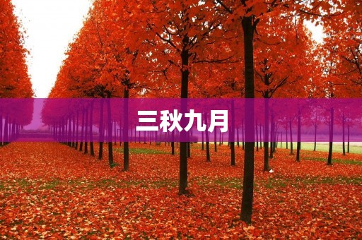 三秋九月:秋天的美丽与哀愁