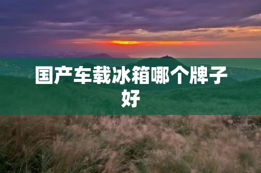 国产车载冰箱哪个牌子好