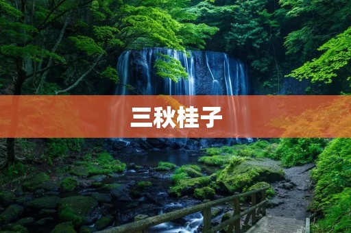 三秋桂子:秋天的芳香之美