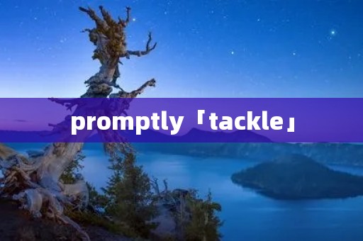 promptly「tackle」 promptly「tackle」