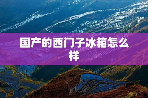 国产的西门子冰箱怎么样