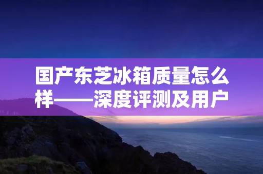 国产东芝冰箱质量怎么样——深度评测及用户反馈 国产东芝冰箱质量怎么样——深度评测及用户反馈