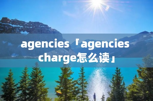 agencies「agencies charge怎么读」