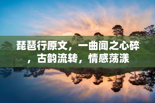 琵琶行原文,一曲闻之心碎,古韵流转,情感荡漾