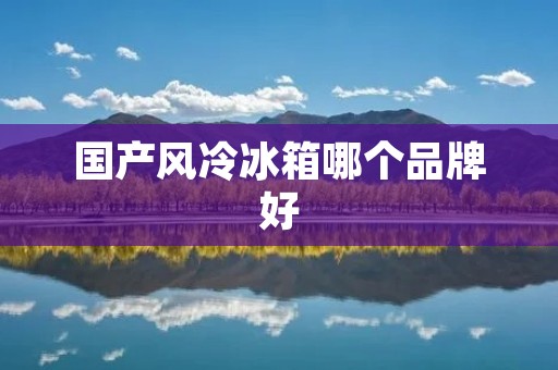 国产风冷冰箱哪个品牌好 国产风冷冰箱哪个品牌好