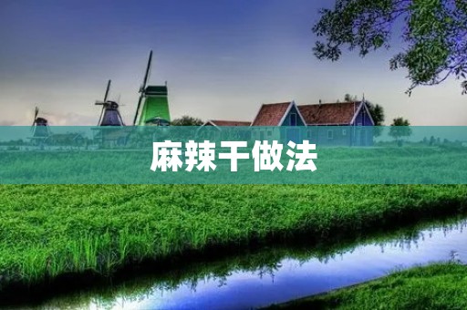麻辣干做法:辣味与麻味的完美结合 麻辣干做法:辣味与麻味的完美结合