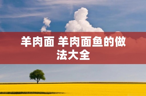 羊肉面 羊肉面鱼的做法大全