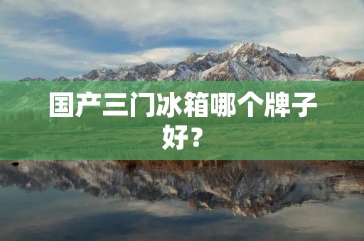 国产三门冰箱哪个牌子好? 国产三门冰箱哪个牌子好?