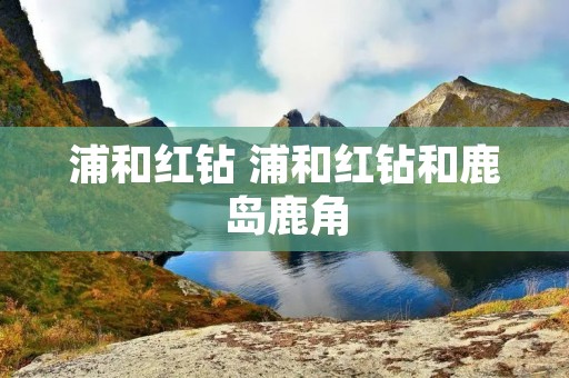 浦和红钻 浦和红钻和鹿岛鹿角 浦和红钻 浦和红钻和鹿岛鹿角