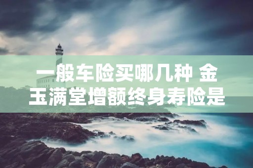 一般车险买哪几种 金玉满堂增额终身寿险是哪家公司 一般车险买哪几种 金玉满堂增额终身寿险是哪家公司