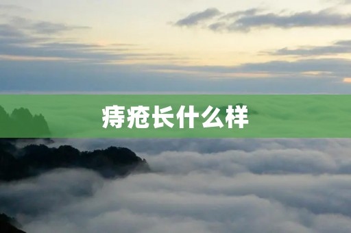 痔疮长什么样