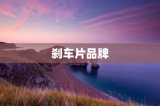 刹车片品牌:如何选择最适合你的刹车片? 刹车片品牌:如何选择最适合你的刹车片?
