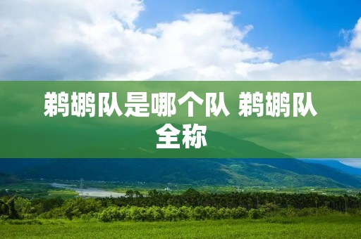 鹈鹕队是哪个队 鹈鹕队全称