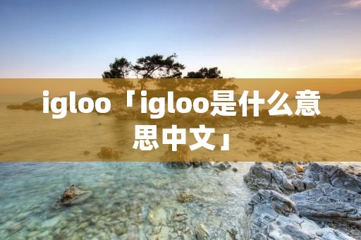 igloo「igloo是什么意思中文」