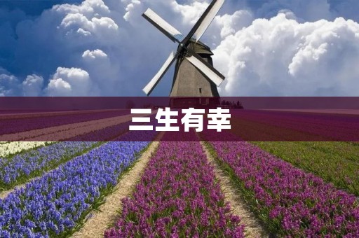 三生有幸:探索人生的奇妙旅程