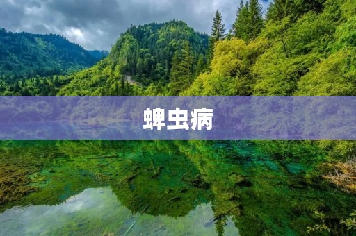 蜱虫病:了解这种寄生虫引发的疾病