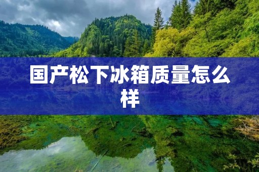 国产松下冰箱质量怎么样