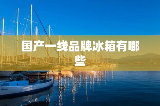 国产一线品牌冰箱有哪些 国产一线品牌冰箱有哪些