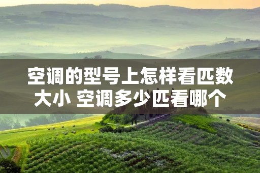空调的型号上怎样看匹数大小 空调多少匹看哪个参数 空调的型号上怎样看匹数大小 空调多少匹看哪个参数