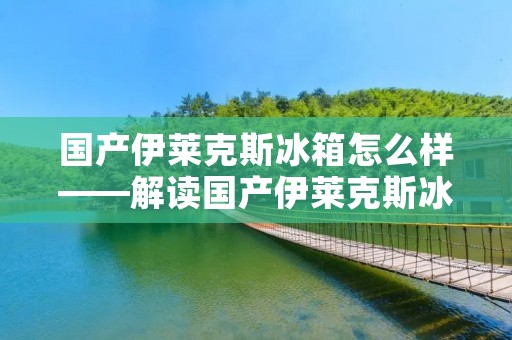 国产伊莱克斯冰箱怎么样——解读国产伊莱克斯冰箱的品质与性能 国产伊莱克斯冰箱怎么样——解读国产伊莱克斯冰箱的品质与性能