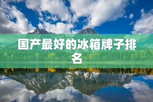 国产最好的冰箱牌子排名:全面评析国内冰箱市场的领先品牌 国产最好的冰箱牌子排名:全面评析国内冰箱市场的领先品牌