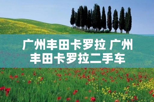 广州丰田卡罗拉 广州丰田卡罗拉二手车