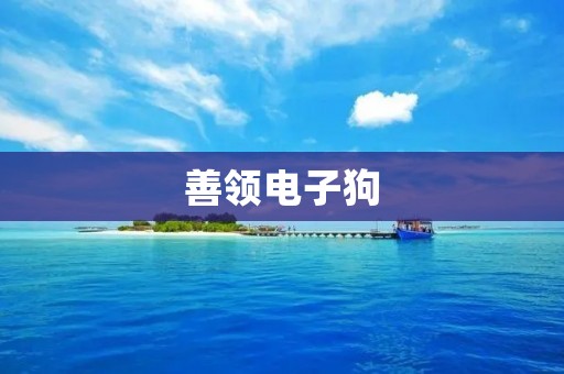 善领电子狗:为你的驾驶保驾护航 善领电子狗:为你的驾驶保驾护航