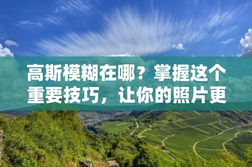 高斯模糊在哪？掌握这个重要技巧，让你的照片更加出彩！