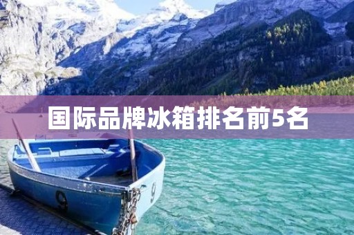 国际品牌冰箱排名前5名 国际品牌冰箱排名前5名