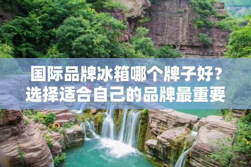 国际品牌冰箱哪个牌子好?选择适合自己的品牌最重要! 国际品牌冰箱哪个牌子好?选择适合自己的品牌最重要!