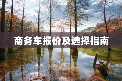 商务车报价及选择指南