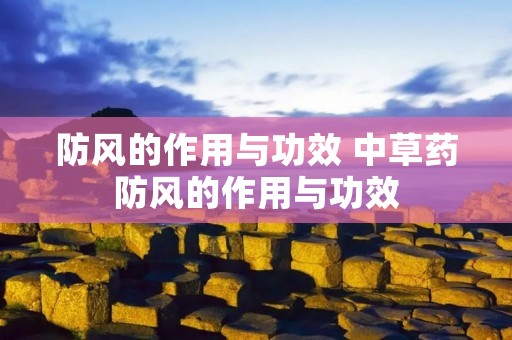 防风的作用与功效 中草药防风的作用与功效