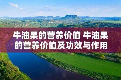 牛油果的营养价值 牛油果的营养价值及功效与作用