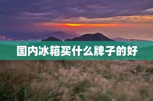 国内冰箱买什么牌子的好