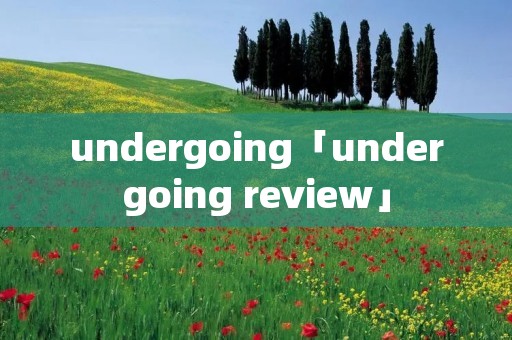 undergoing「undergoing review」