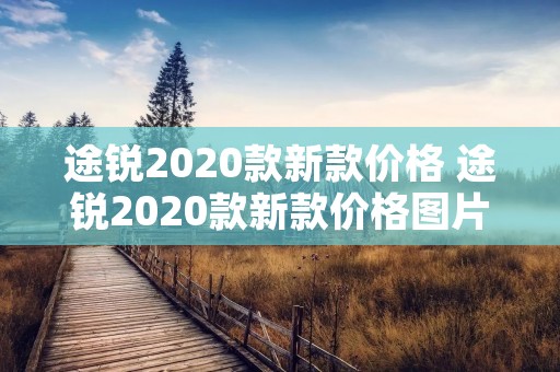 途锐2020款新款价格 途锐2020款新款价格图片