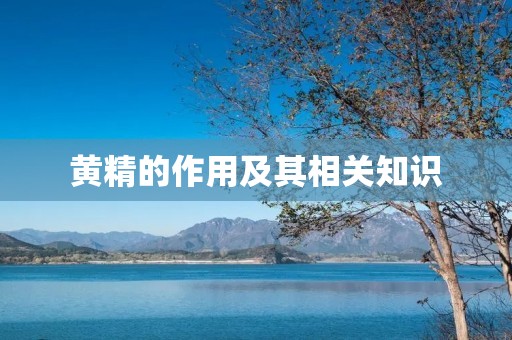黄精的作用及其相关知识