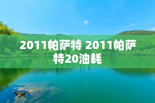 2011帕萨特 2011帕萨特20油耗 2011帕萨特 2011帕萨特20油耗
