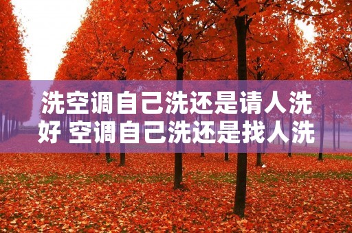 洗空调自己洗还是请人洗好 空调自己洗还是找人洗