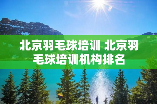 北京羽毛球培训 北京羽毛球培训机构排名