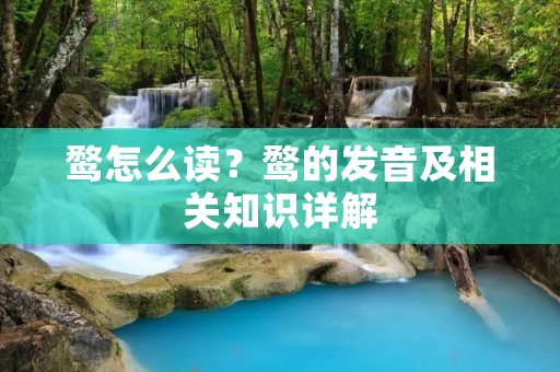 鹜怎么读?鹜的发音及相关知识详解