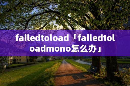 failedtoload「failedtoloadmono怎么办」