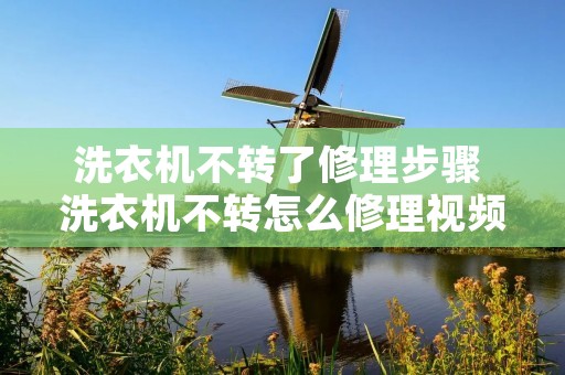 洗衣机不转了修理步骤 洗衣机不转怎么修理视频