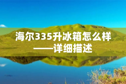 海尔335升冰箱怎么样——详细描述 海尔335升冰箱怎么样——详细描述