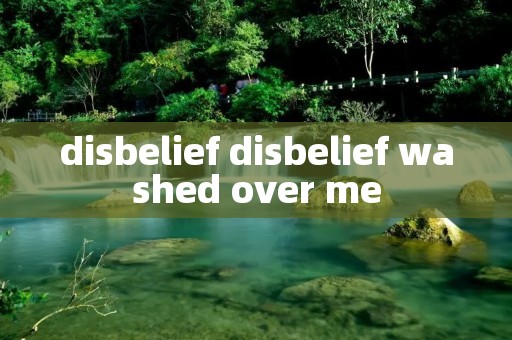 di**elief di**elief washed over me