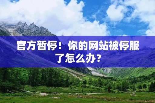 官方暂停！你的网站被停服了怎么办？