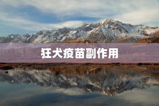 狂犬疫苗副作用:科学解读与风险评估