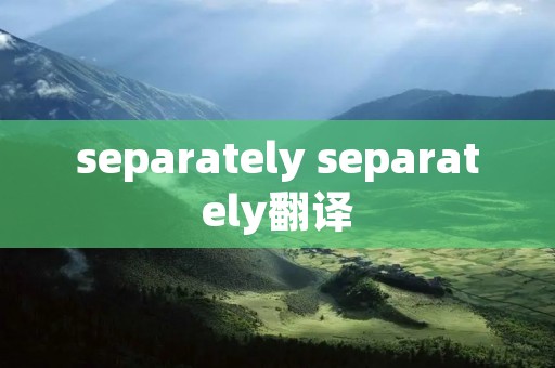 separately separately翻译