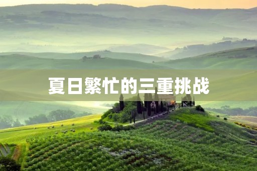 夏日繁忙的三重挑战：如何应对高温、防暑降温、保持身心健康