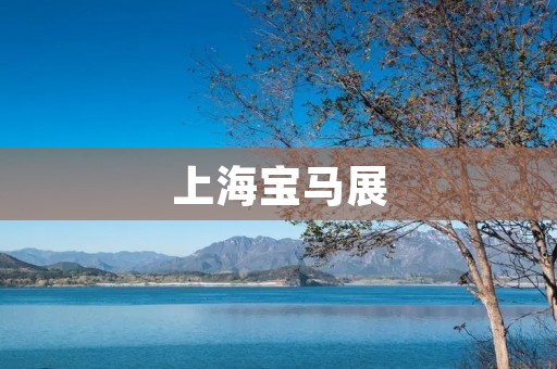 上海宝马展:精彩绽放的汽车盛宴 上海宝马展:精彩绽放的汽车盛宴